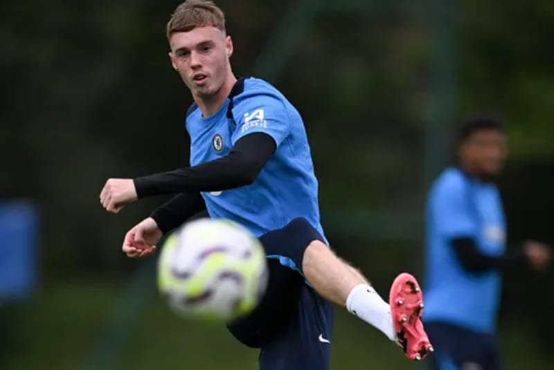 Palmer sẵn sàng trở lại.