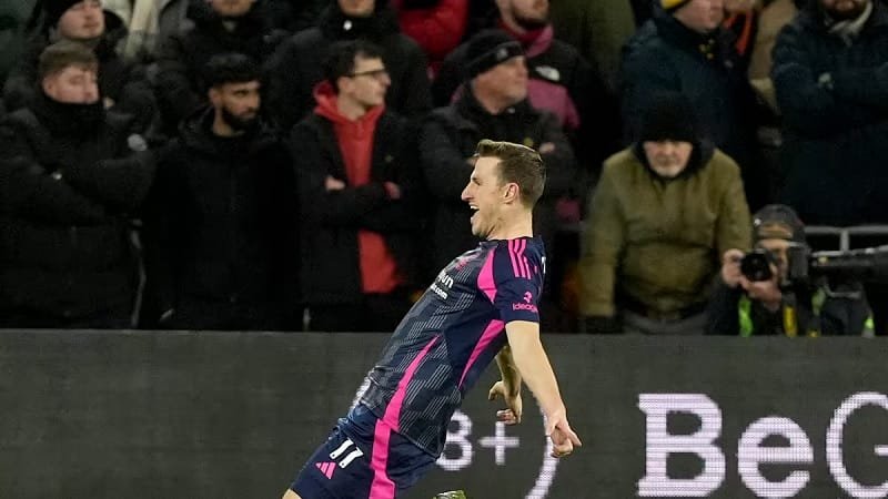 Wood cùng Forest bay cao